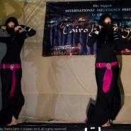 3965414180107454735626045391n